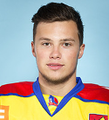 Radek Prokes