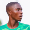 Mehluleli Thamsanqa Ndelu