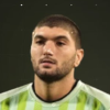 Elmaddin Mammadov