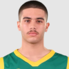 Alexandros Papadopoulos