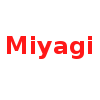 Ten MiyagiHamstring Injury