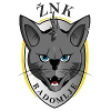 ZNK Radomlje (femmes)