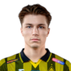 Александр Широбоков