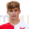 Denis Hanzelka