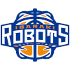 Ibaraki Robots