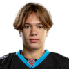 Nikita Khodorovich