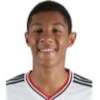 Perivan dos Santos