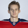 Дмитрий Гамзин