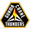 Gunma Crane Thunders