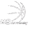 MS Academy