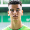 Amar Ibrisimovic