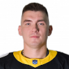Ivan Stepanenko