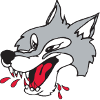 Sudbury Wolves