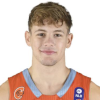 Luka Anzulovic