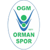 Ormanspor