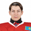 Vladislav Nikulin