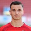 Admir Gojak