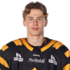 Zeb Lindgren