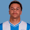 Joao Vitor Tavares da Mota