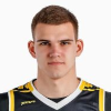 Vladislav Amelin