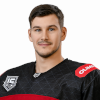 Nikita Dolgopyatov