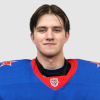 Aleksandrs Rogatko