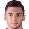 Anel Sabanadzovic