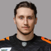 Damir Zhafyarov