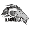 Karkkila