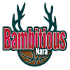Bambitious Nara