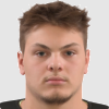 Vitek Apolenar