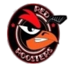 Charleroi Red Roosters