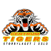 Centrum Tigers Oslo (Women)