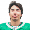 Ruslan Telgozhaev