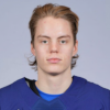 Arttu Karki