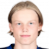 Arttu Alasiurua