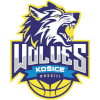 Kosice Wolves
