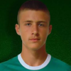 Haris Berbic