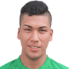 Pedro Andre Shigueishi Ynamine Kitano