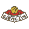 Gjøvik-Lyn