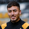Gino Alfaro