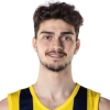 Yigit Mestoglu