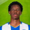 Harvey Araujo