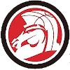 Saitama Broncos