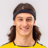 Tarik Mlivic