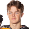 Hugo Branthsson