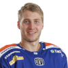 Anton Levtchi