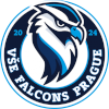 VSE Falcons Prague