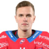 Dmitry Vozovik