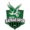 Інегол Кафкасспор